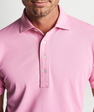 Load image into Gallery viewer, Peter Millar Soul Mesh Polo
